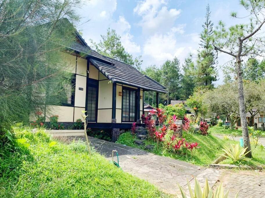 Designer Villa Tokyo Чіанджур Екстер'єр фото